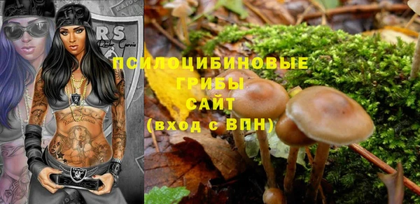 стафф Аркадак