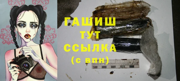 сатива Армянск