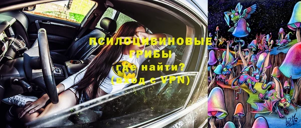 сатива Армянск