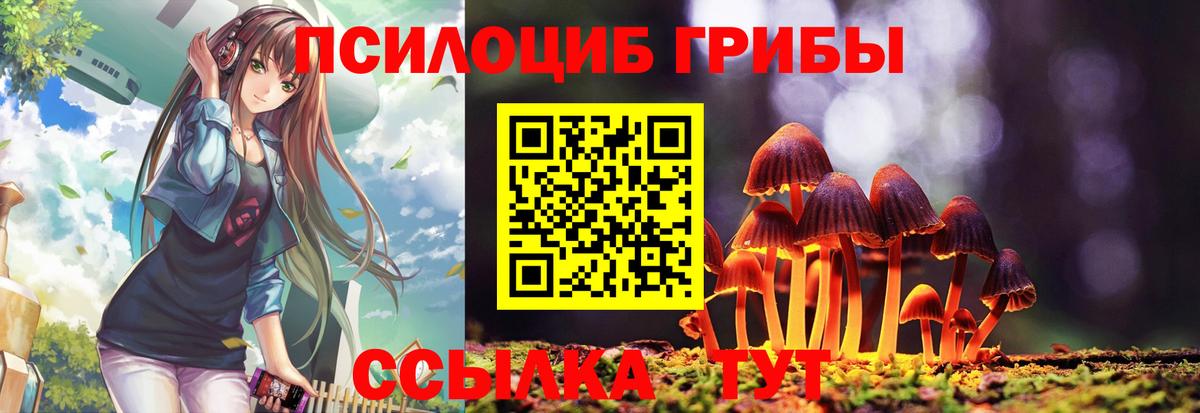 Галлюциногенные грибы Psilocybine cubensis  Вход с VPN  Спасск-Дальний 