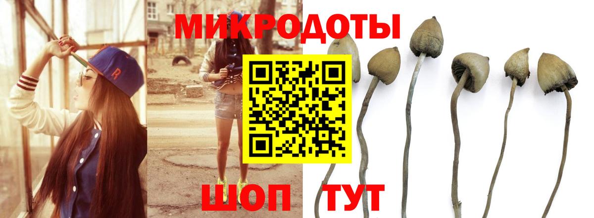 Галлюциногенные грибы Magic Shrooms Спасск-Дальний